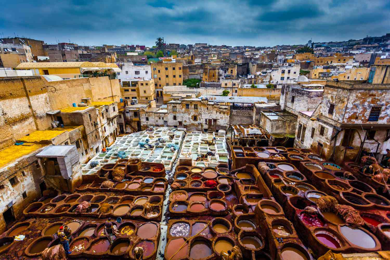 Fez: Morocco Historic City with the World’s Oldest Campus