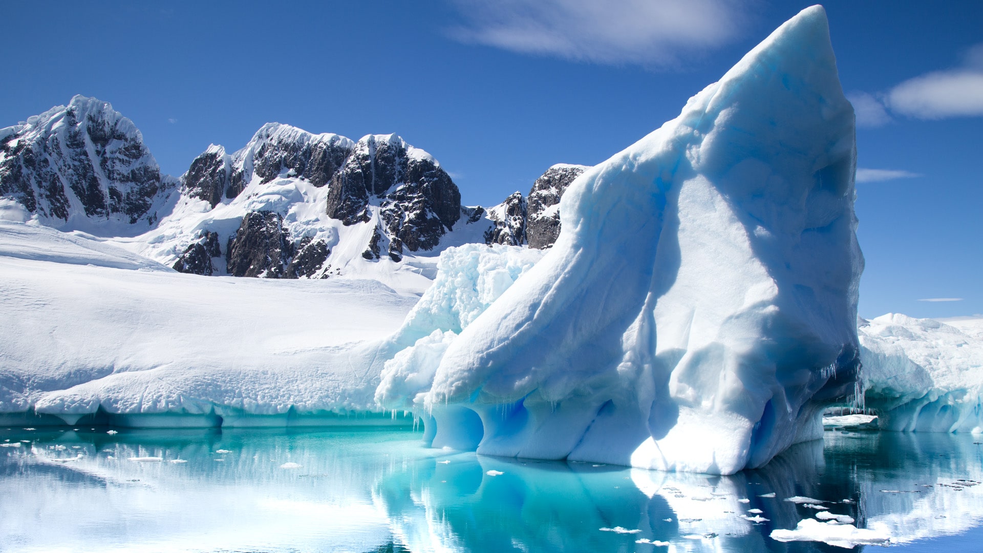 Incredible Discoveries in Mysterious Antarctica